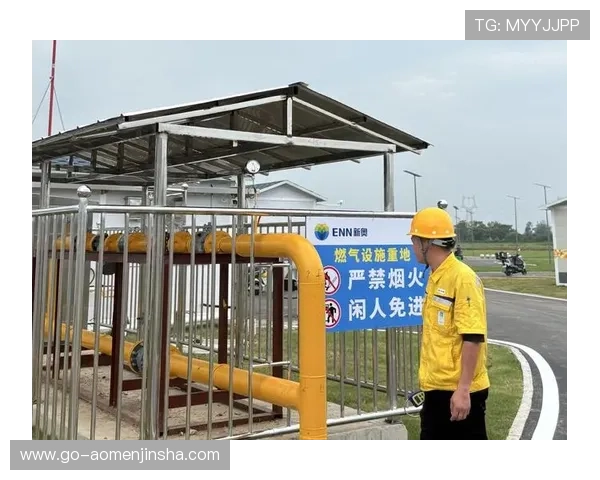 金沙体育登录官网安全保障措施，保障用户资金与个人信息安全的详细介绍