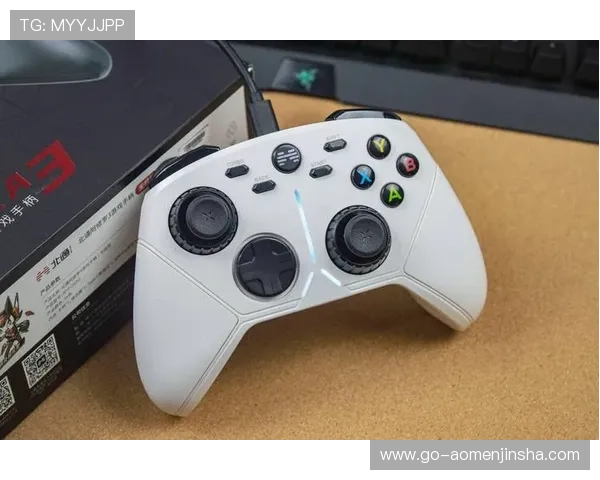 金沙手机版登录线路稳定安全，确保玩家随时畅享精彩游戏体验