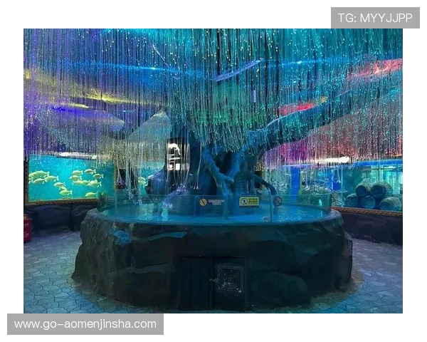 回力海立方娱乐场用户评价与口碑分析助你选择最值得信赖的平台