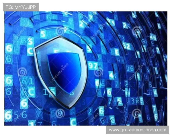 安全稳定的金沙集团官网登录入口指南，保障您的账号信息安全与顺畅游戏体验