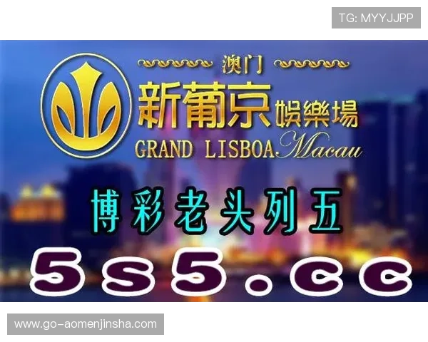 澳门金沙娱乐城网站游戏种类全景介绍满足不同玩家的多样需求